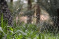 Link chain fence protect the green nature from tampering Royalty Free Stock Photo