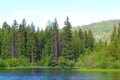 Unspoiled Beauty Abounds at Link Lake, BC