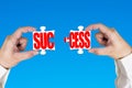 Linking two puzzles for success Royalty Free Stock Photo