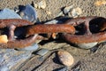 Links In the Chain - Rusty Boat Chain On The Beach Royalty Free Stock Photo