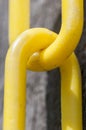 Links of yellow chain