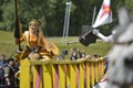 Linlithgow spectacular jousting horse Knight