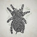Linocut Tarantula on background Royalty Free Stock Photo