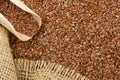Linseed, flax seeds and wooden scoop