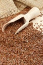 Linseed, flax seeds, wooden scoop, sack