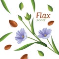 Linseed oil, flaxseed and flowers vector illustration