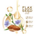 Linseed oil, flaxseed and flowers vector illustration