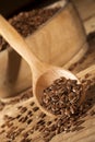 Linseed. Spoon and bowl of linseeds on wooden background Royalty Free Stock Photo