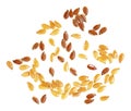 Linseeds - brown and yellow flax seeds isolated on white background, top view Royalty Free Stock Photo