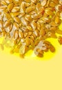 Linseeds or flax seeds in the olive oil on yellow backround. Polyunsaturated fatty acids omega 3-6-9 vitamin