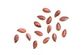 Linseeds or flax seeds spread out Royalty Free Stock Photo