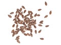 Linseeds spread out Royalty Free Stock Photo