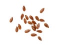 Linseeds spread out on white Royalty Free Stock Photo