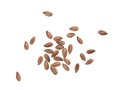 Linseeds on a white background Royalty Free Stock Photo