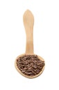 Linseeds on wood spoon Royalty Free Stock Photo