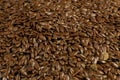 Brown Flax seed. Also known as Linseed, Flaxseed and Common Flax. Closeup of grains, background use