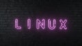 LINUX neon sign. Glowing LINUX emblem on dark brick wall background. 3d rendering