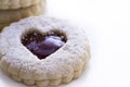 Linzer Torte Cookies Royalty Free Stock Photo