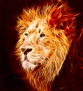 Lion Royalty Free Stock Photo