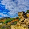 Lion admiring  sky Royalty Free Stock Photo