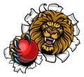 Lion Holding Cricket Ball Breaking Background Royalty Free Stock Photo