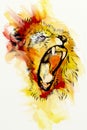Lion art illustration drawing funny artwork