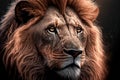 Lion as a symbol of King, power, strength, powerful, leader, strong. Conceptual representation of a lion. Creative image.