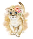 Lion baby, lion cub watercolorwith yellow background. African animal Royalty Free Stock Photo