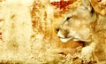 Lion background Royalty Free Stock Photo