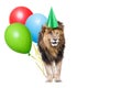 Lion Birthday Party With Copy Space Royalty Free Stock Photo