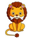 The lion is biting the bone while sitting Royalty Free Stock Photo