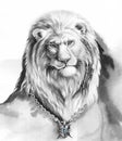 Lion_blue eyes Royalty Free Stock Photo