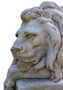 Lion Bust Royalty Free Stock Photo