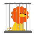 Lion in cage. Leo at zoo. Vector illustration