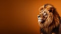 Kingcore Lion: Majestic And Powerful In High-key Lighting Royalty Free Stock Photo