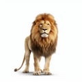 Impressive Photorealistic Rendering Of A Lion On White Background