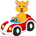 Lion cartoon driving car