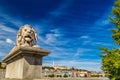 Lion on Chain Bridge in Budapest Royalty Free Stock Photo