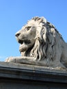 Lion of the Chain Bridge - Budapest, Hungary Royalty Free Stock Photo