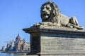 Lion on chain bridge and the parliament in Budapest, Hungary Royalty Free Stock Photo