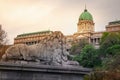 Lion of Chain Bridge view of Buda Castle at dramatic evening, Budapest, Hungary Royalty Free Stock Photo