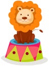 Lion circus Royalty Free Stock Photo