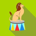 Lion circus sitting icon, flat style