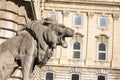 Lion classical sculpture, side view