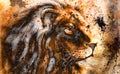 Lion collage on color abstract background, rust structure, wildlife animals.