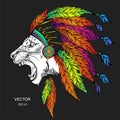 Lion in the colored Indian roach. Indian feather headdress of eagle Royalty Free Stock Photo