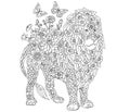 Lion coloring page Royalty Free Stock Photo