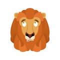Lion confused emoji face avatar. Wild animal is perplexed emotions. Beast surprise. Vector illustration