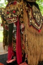Lion costume bali style for indonesian people wear dancing in legong and barong waksirsa dance for show travelers people at Ubud