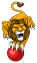 Lion Cricket Ball Animal Sports Team Mascot